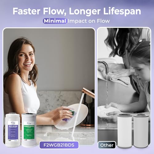 F2WGB21BDS 2 Stage Whole House Water Filter Set for WGB21B