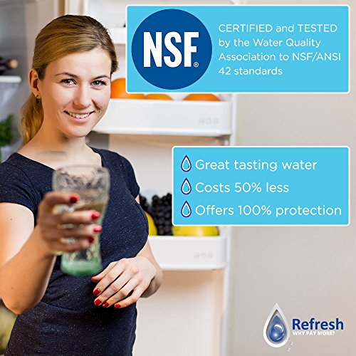 Refresh Refrigerator Water Filter Replacement for LG LT500P (2 Count)