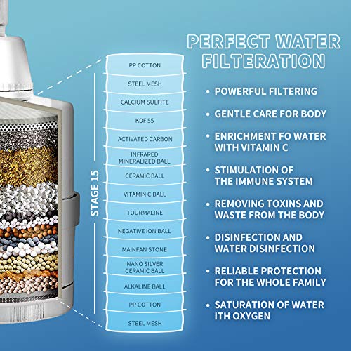 BathBeyond Filtered Shower Head