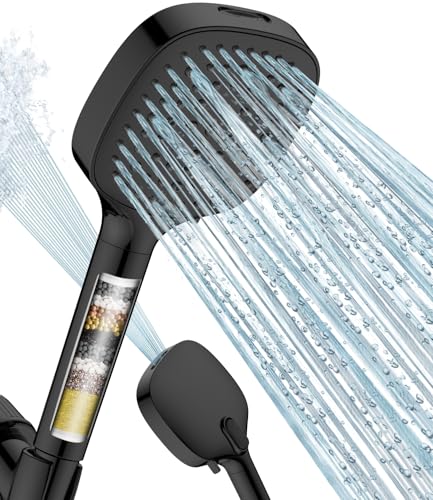 Filtered Shower Head with Handheld