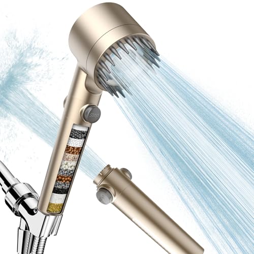 Filtered Shower Head with Handheld