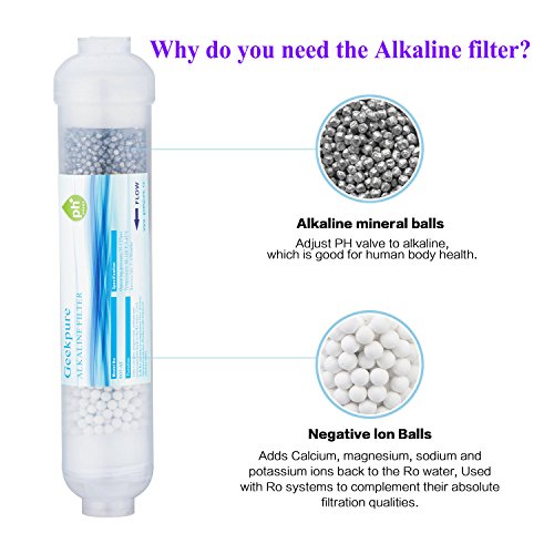 10 inch Inline Alkaline pH+ Water Filter