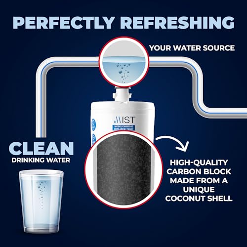 5231JA2002A Refrigerator Water Filter Replacement for LG LT500P (2 Count)