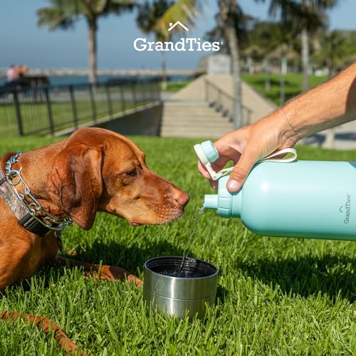 Insulated Portable Dog Water Bottle with 2 Detachable Water Bowl Dispenser