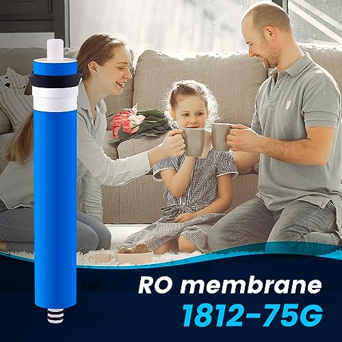 Membrane for Reverse Osmosis Membrane GPD