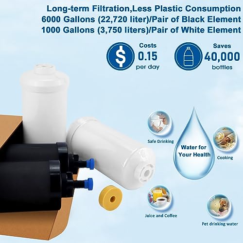 Black Activated Carbon Water Filters & Fluoride Filters fit for Berkey (4 Count)