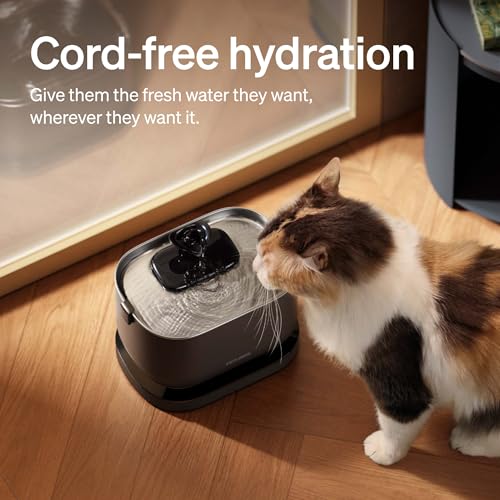 Cat Water Fountain