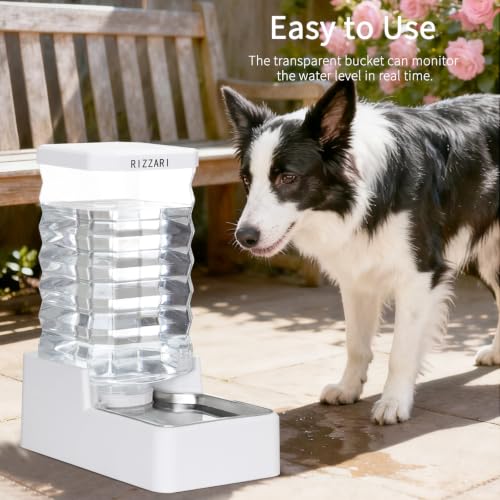 10L Filtered Dog Water Dispenser