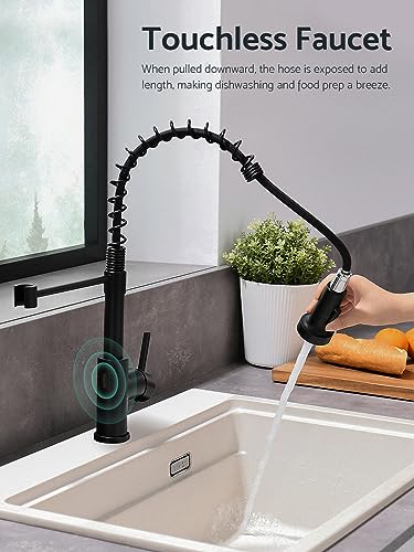 Touchless Kitchen Faucet