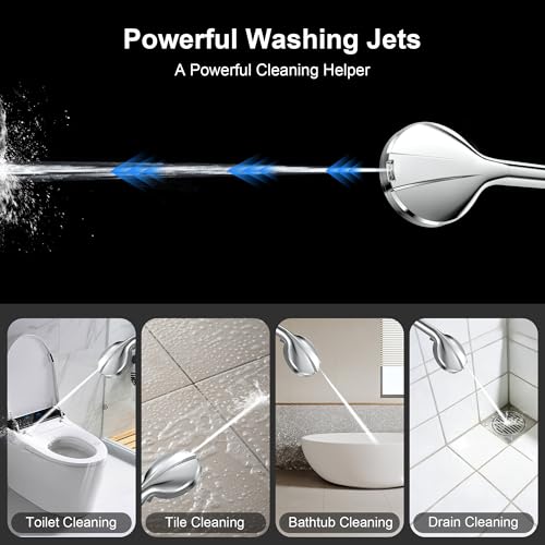 Filtered Shower Head with Handheld (3 Count)