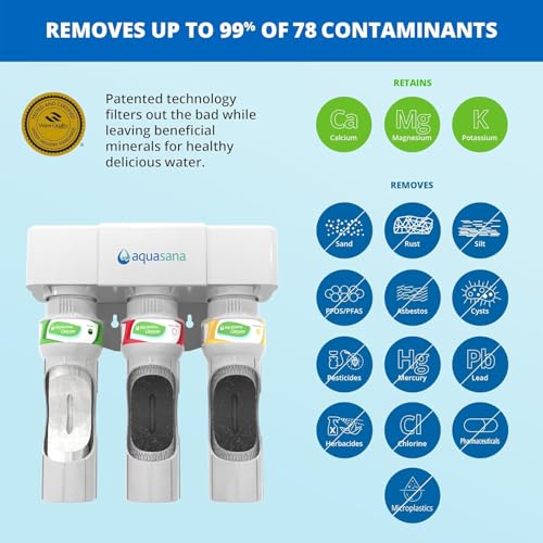 Under Sink Water Filter System