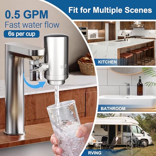 Ceramic Filter Replacement for LCF (4 Count)