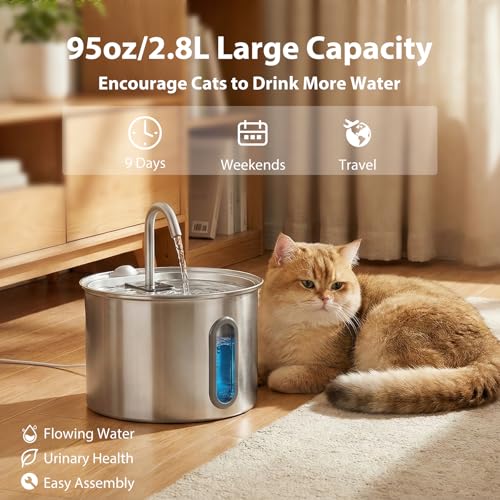 Cat Water Fountain Filter (12 Count)