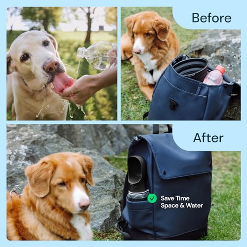 Dog Water Bottle Dispenser