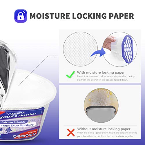 Moisture Absorber (12 Count)