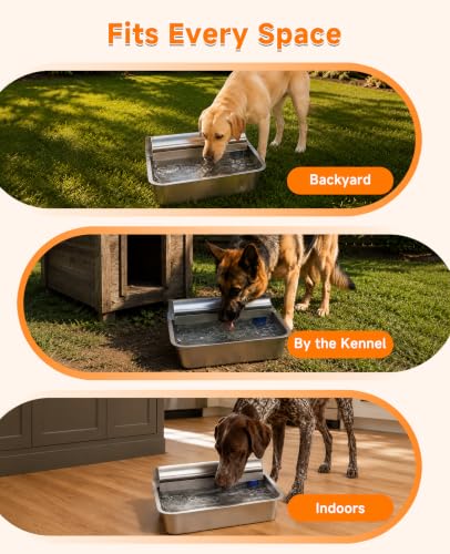 3 Gallon Automatic Dog Water Dispenser 304 Stainless Steel Auto
