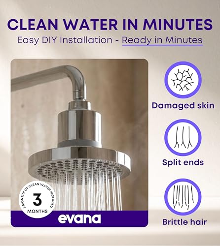 Filtered Shower Head with Filters