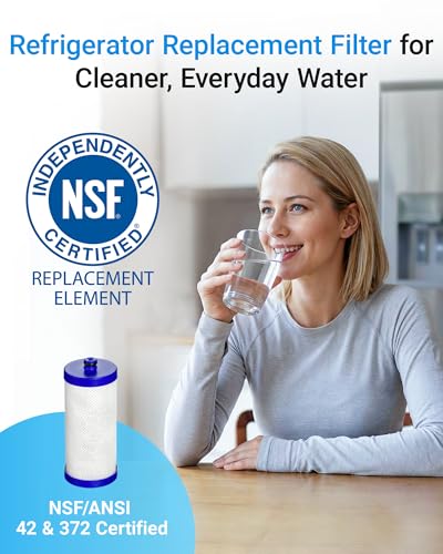 WF1CB Refrigerator Water Filter (3 Count)