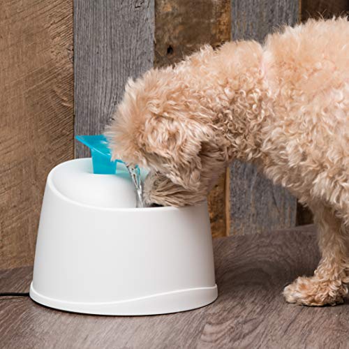 Cat Water Fountain