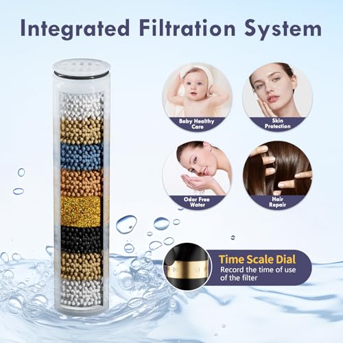Matte Black Filtered Dual Shower Head with Handheld Spray Combo