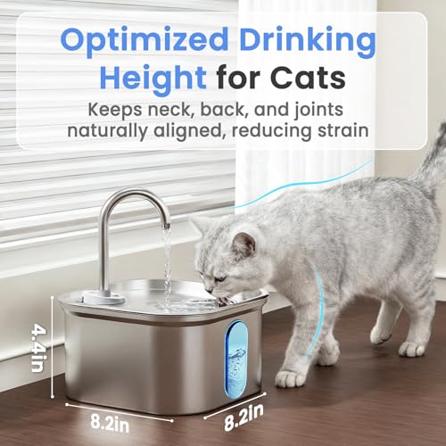 Cat Water Fountain Stainless Steel