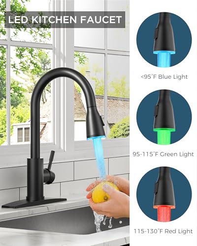 Kitchen Faucet with LED Light Sprayer