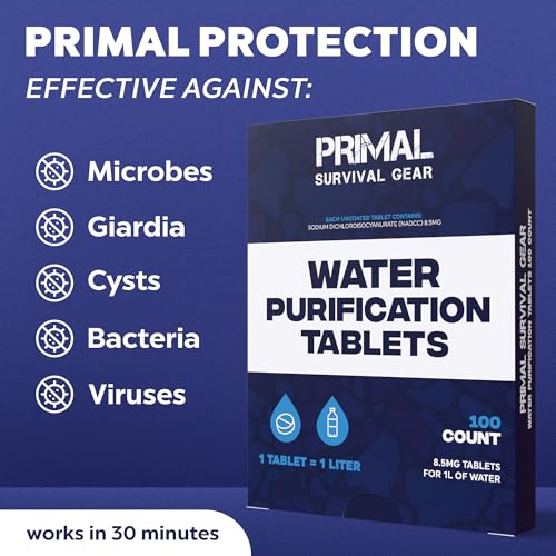 Water Purification Tablets (100 Count)