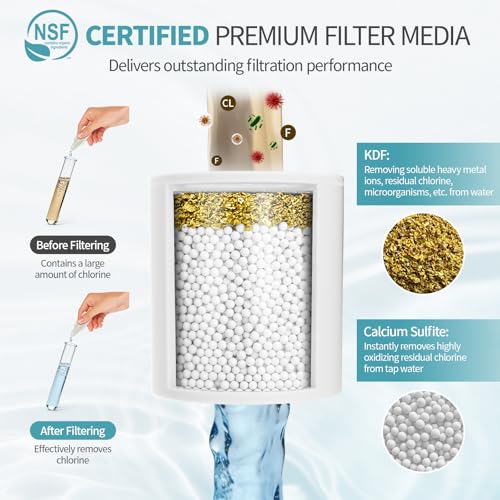 2 in 1 Shower Filter and Filtered Shower Head for Hard Water