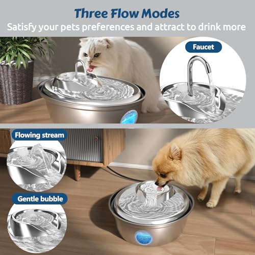 Cat Water Fountain Stainless Steel