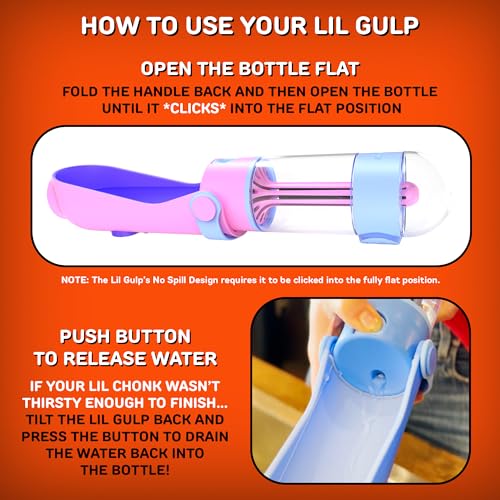 Lil Gulp Dog Water Bottle 15 Fl oz Portable Travel Bottle
