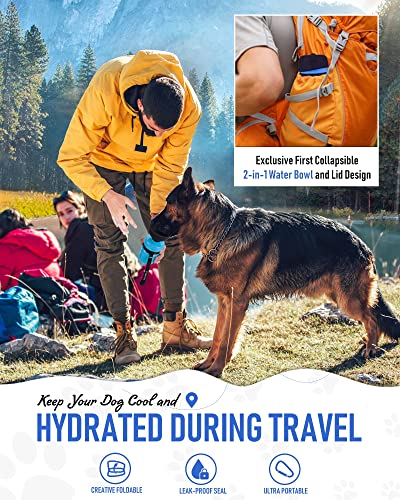 Dog Water Bottle