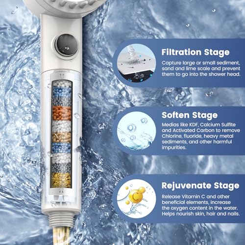 Filtered Shower Head with Handheld