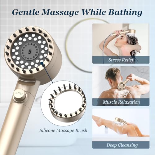 Filtered Shower Head with Handheld