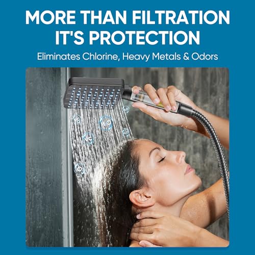 Filtered Shower Head with Handheld