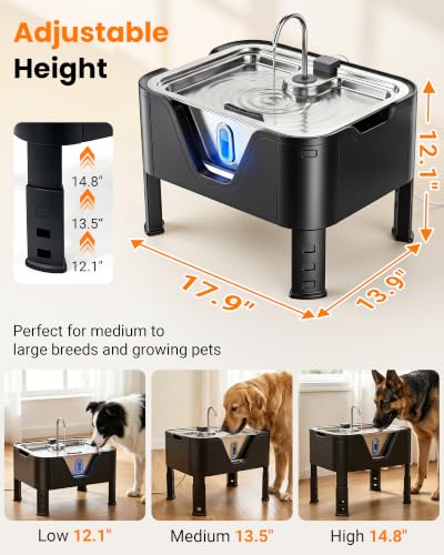 3.17Gal 12L Large Dog Water Fountain Elevated Dog Bowls with 3 Filters (405.82 Fl Oz)