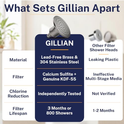 Gillian Filtered Shower Head for Hard Water
