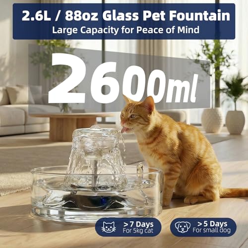 Glass Cat Water Fountain 88oz