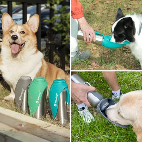Portable Dog Water Bottle 27 OZ
