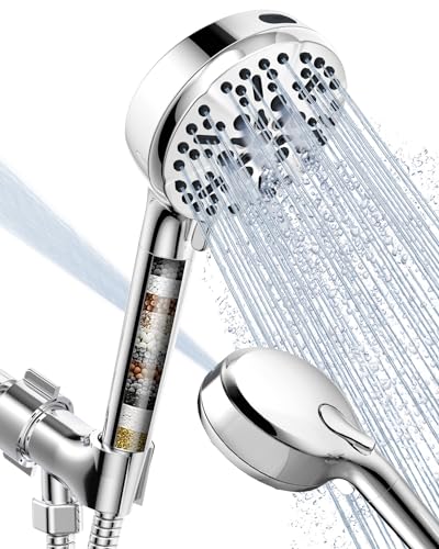 Filtered Shower Head with Handheld