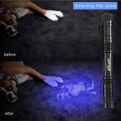 2 Pack UV Black Light Flashlight with Clip (2 Count)