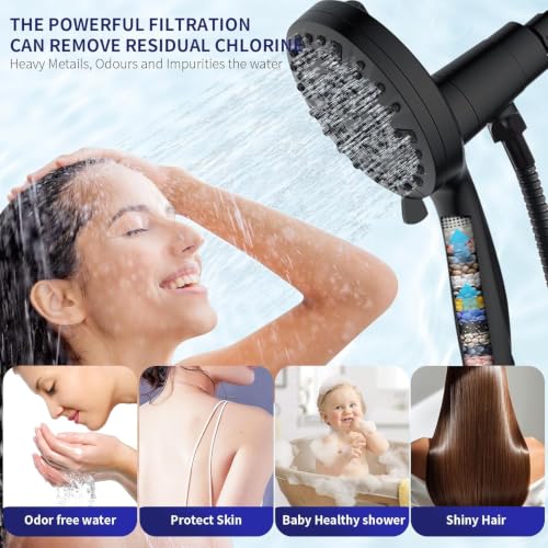 Filtered Shower Head with Handheld