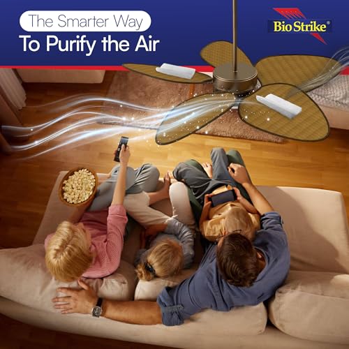 Ceiling Fan Air Filter (4 Count)