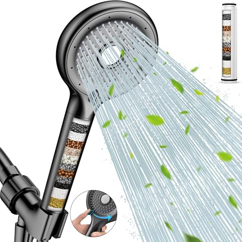 Filtered Shower Head with Handheld