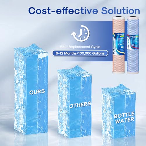 4.5"x 20" Whole House CTO Carbon Water Filter (2 Count)