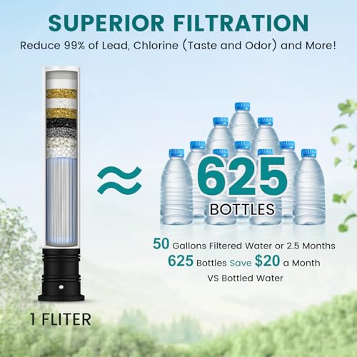 Filter Water Kitchen Faucets
