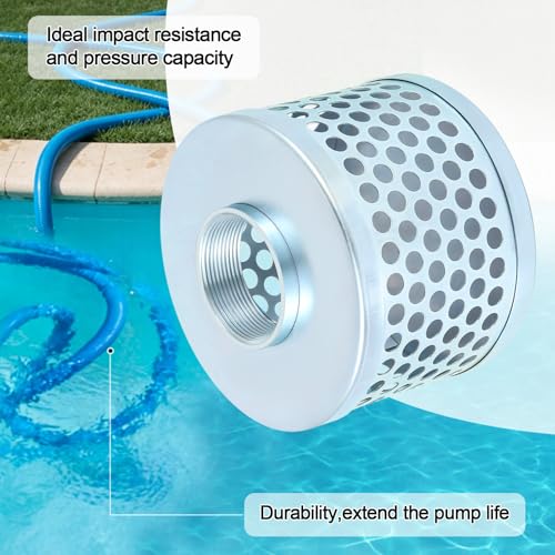 Carbon Steel Round Hole Suction Strainer Filter for Water Pumps
