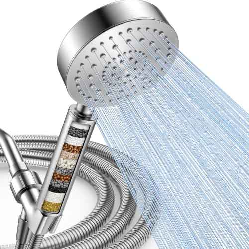 Filtered Shower Head with Handheld