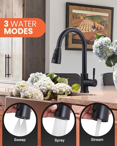 Bronze Kitchen Faucet with Sprayer