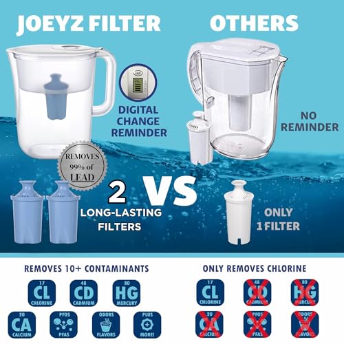 10 Cup Water Filter Pitcher & 2 Longlast Filters