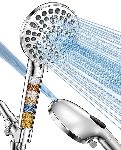 Filtered Shower Head with Handheld